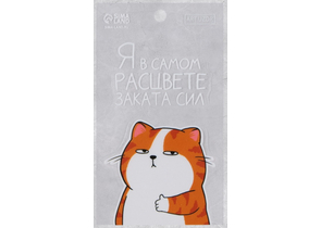Наклейка пластиковая на телефон «Закат», 8×14 см