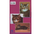 Книга «Экзотические короткошерстные кошки. Содержание, кормление, разведение, лечение», 125*200 мм, 80 с., с иллюстрациями