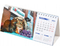 Календарь настольный перекидной на 2024 год «Домик. Котовасия», 210*135 мм, «Яша-3»