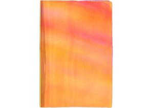 Книжка записная Chameleon, 145×210 мм, 100 л., клетка, «Красная»