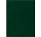 Тетрадь общая А5, 48 л. на скобе BG, 162×202 мм, клетка, зеленая