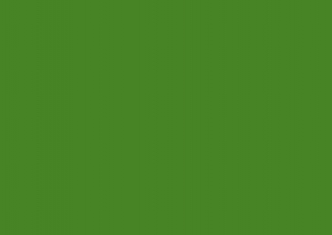 Бумага цветная для скрапбукинга Folia зеленая травяная