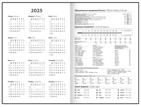 Ежедневник датированный на 2025 год Staff, 145*215 мм, 160 л., «Котик»