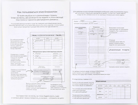 Блокнот для планирования финансов Cashbook, 100*140 мм, 68 л., «Кот»