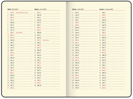 Еженедельник датированный на 2025 год Brauberg Iguana, 145*215 мм, 64 л., черный