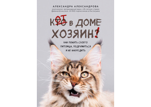 Книга «Кот в доме хозяин! Как понять своего питомца, подружиться и не навредить», 150×210×21 мм, 288 страниц