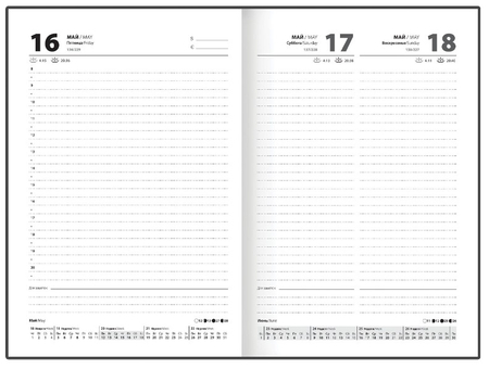 Ежедневник датированный на 2025 год Staff, 145*215 мм, 160 л., «Котик»