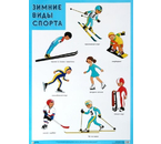 Плакат «Зимние виды спорта», 500×690 мм