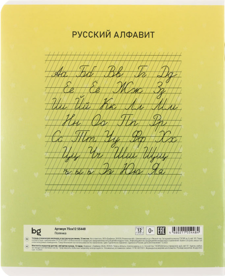 Тетрадь школьная А5, 12 л. на скобе BG «Полянка», 165*202 мм, частая косая линия, ассорти