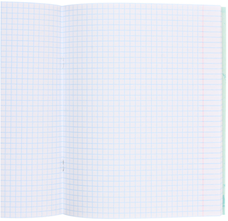 Тетрадь общая А5, 48 л. на скобе «Пингвины», 160*202 мм, клетка, ассорти