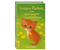 Книга детская «Котёнок Рыжик, или Как найти сокровище (выпуск 13)», 207*130*12 мм, 144 страницы