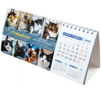 «Календарь хорошего человека» на 2026 год «Домик», 210×100 мм (благотворительный) «Календарь хорошего человека» на 2026 год «Домик», 210×100 мм (благотворительный)