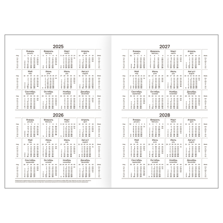 Ежедневник датированный на 2025 год BG, 135*205 мм, 168 л., черный