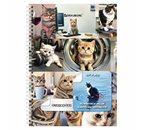 Стикербук-блокнот с наклейками Brauberg «Просто наклей», 105×150 мм, 16 л., 96 цветных стикеров, «Коты мемы» Стикербук-блокнот с наклейками Brauberg «Просто наклей», 105×150 мм, 16 л., 96 цветных стикеров, «Коты мемы»