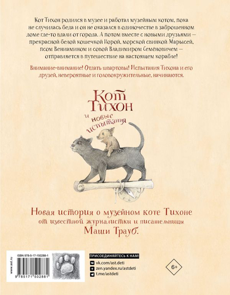 Книга детская «Кот Тихон и новые испытания», 167*215*10 мм, 128 страниц, 6+