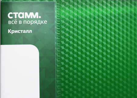 Папка пластиковая на 2-х кольцах «Стамм. Кристалл», толщина пластика 0,7 мм, зеленая