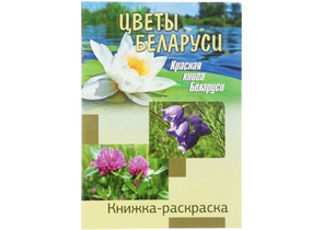 Книжка-раскраска, А4, 8 л., «Цветы Беларуси»