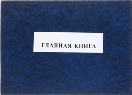 Главная книга, 297*210 мм, 150 л., ассорти