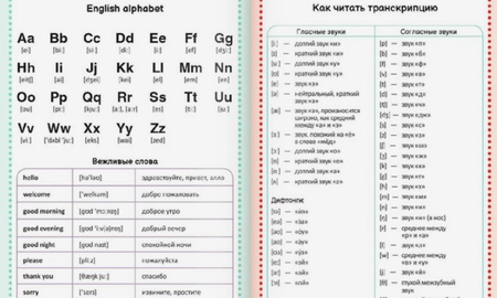 Тетрадь для записи английских слов English Notebook, 145*210 мм, 26 л., линия, «Кот»