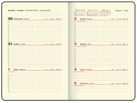 Еженедельник датированный на 2025 год Brauberg Iguana, 145*215 мм, 64 л., черный