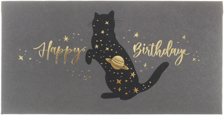 Открытка-конверт для денег Meshu, 85*164 мм, Happy Birthday. Space Cat