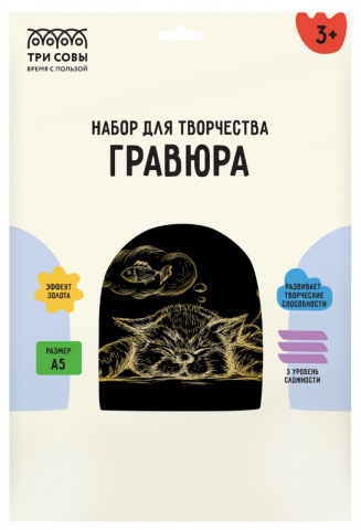 Набор для творчества «Гравюра. Три совы» А5, «Спящий кот», с эффектом золотистого металлика