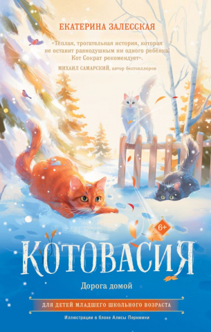 Книга детская «Котовасия. Дорога домой», 135*208*16,5 мм, 224 страницы, 6+