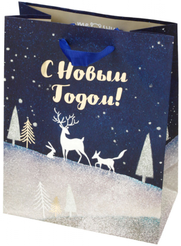 Пакет подарочный новогодний Meshu, 18*23*10 см, Christmas Magic