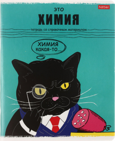 Тетрадь предметная А5, 48 л. на скобе «Черный кот», 165*205 мм, клетка, «Химия»