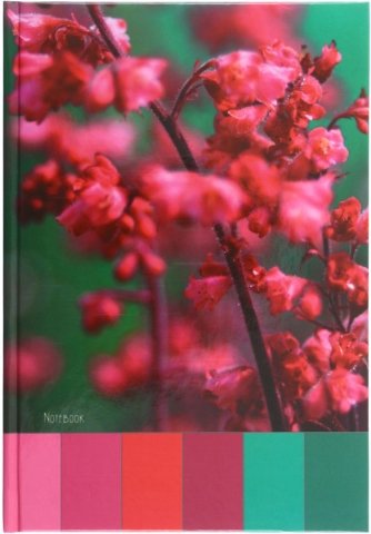 Книжка записная «Канц-Эксмо», 145*210 мм, 130 л., клетка, «Цветы. Аромат весны»