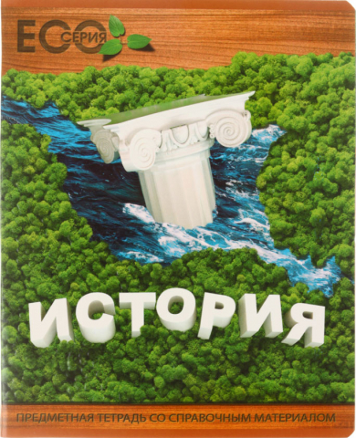 Тетрадь предметная А5, 48 л. на скобе «3D Эко», 162*202 мм, клетка, «История»