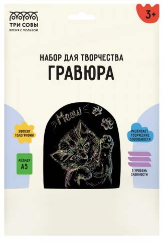 Набор для творчества «Гравюра. Три совы» А5 «Котенок» Meow, с голографическим эффектом