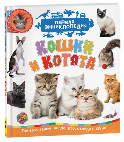 Книга детская «Кошки и котята. Первая энциклопедия» (С.Н. Гальцева), 198*235 мм, 48 страниц, 3+